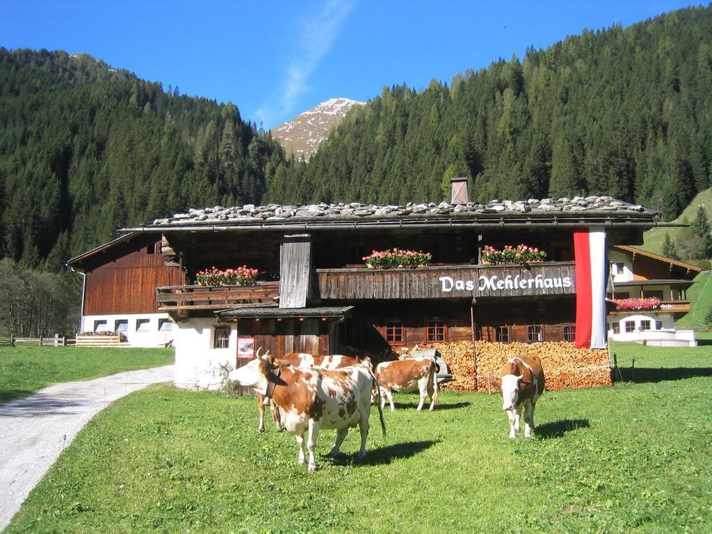 Mehlerhof Appartement Tux Buitenkant foto